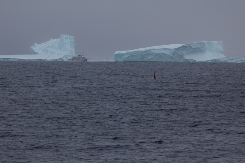 Смотрим айсберги в Twillingate <br/><i></i>