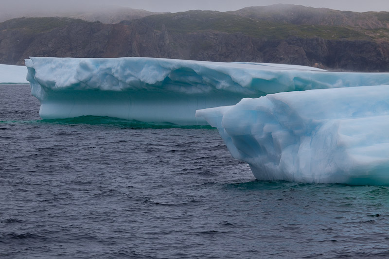 Смотрим айсберги в Twillingate <br/><i></i>