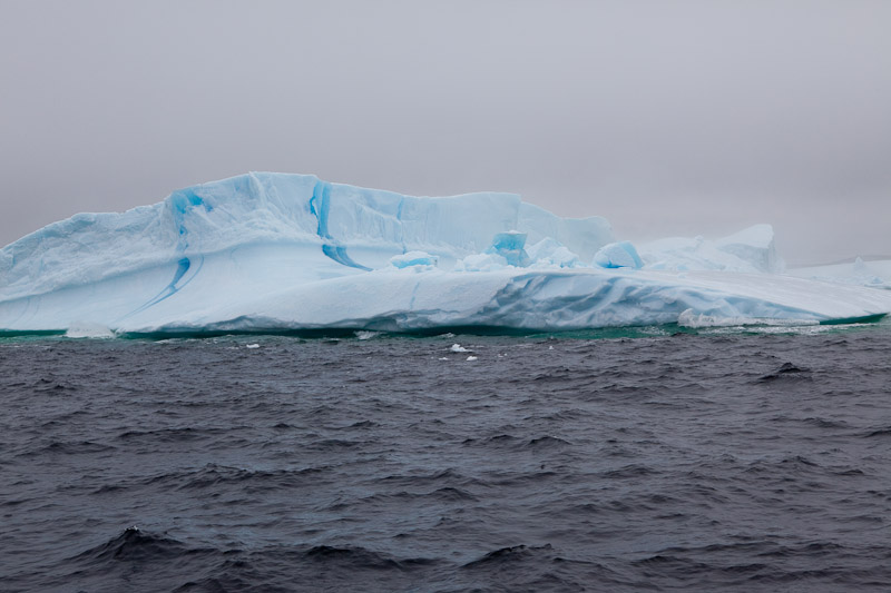 Смотрим айсберги в Twillingate <br/><i></i>