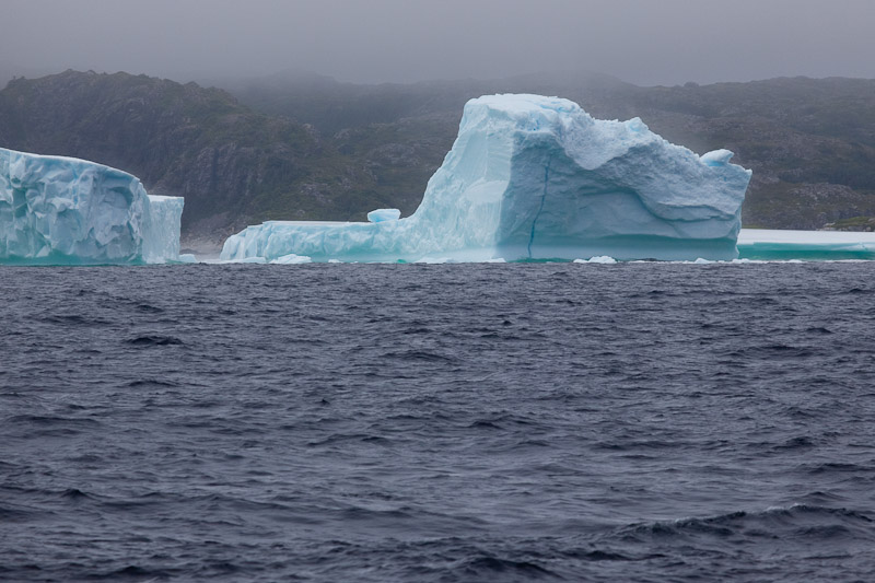 Смотрим айсберги в Twillingate <br/><i></i>