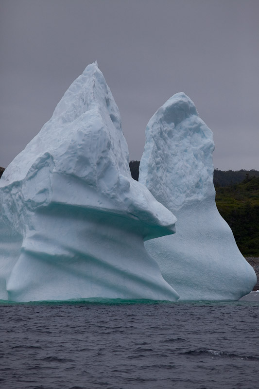 Смотрим айсберги в Twillingate <br/><i></i>