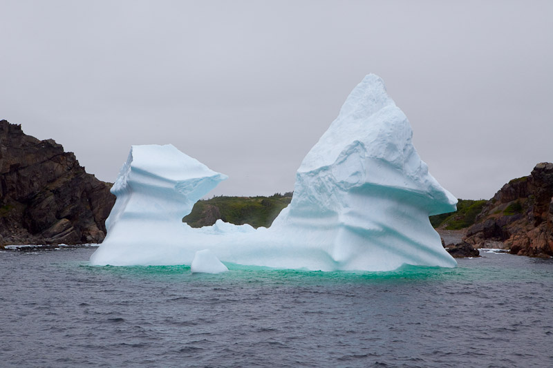 Смотрим айсберги в Twillingate <br/><i></i>