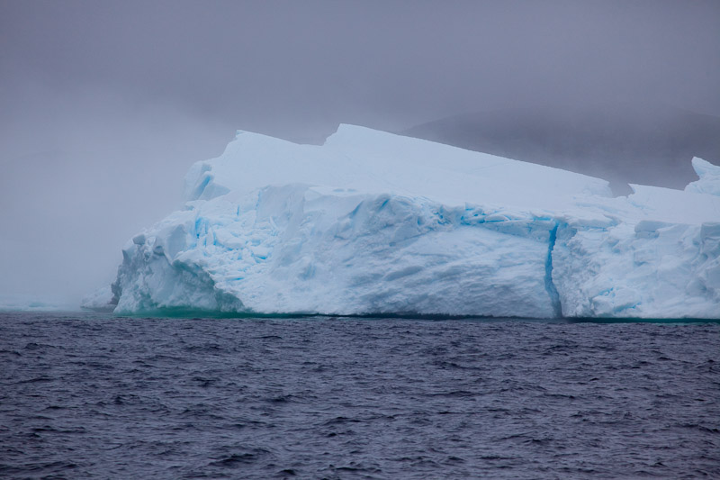 Смотрим айсберги в Twillingate <br/><i></i>