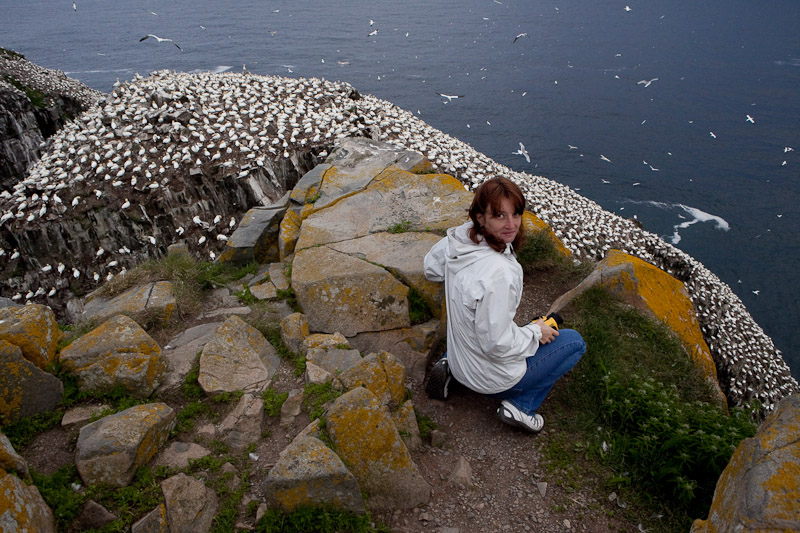 Cape St. Mary <br/><i>Смотрим птиц</i>