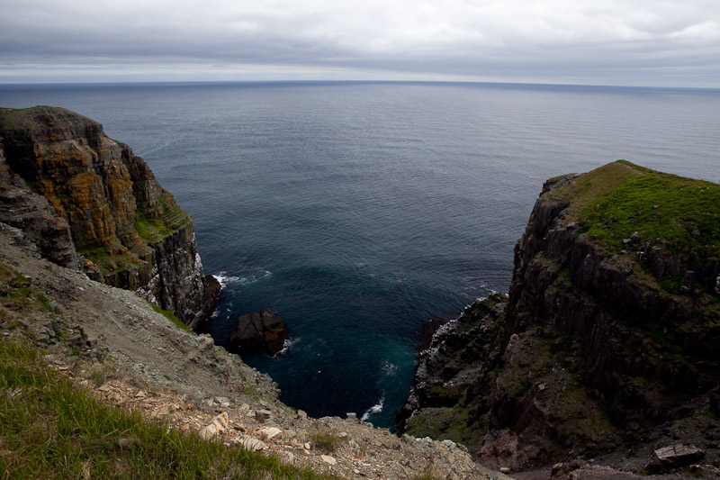 Cape St. Mary <br/><i>Смотрим птиц</i>